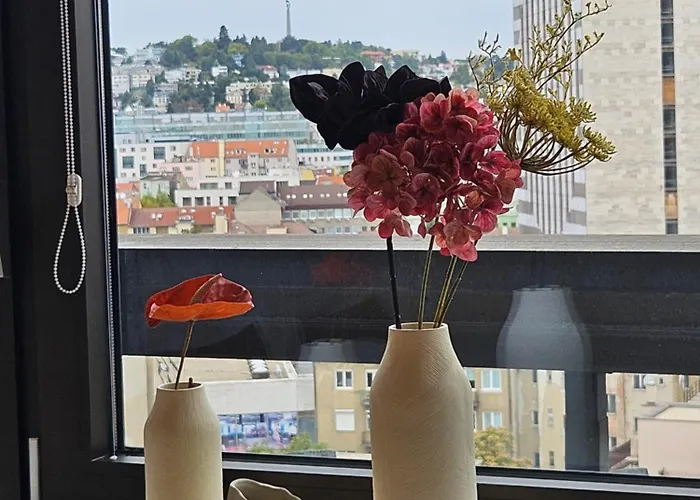 Panorama View Design Apts In Old Town - Free Parking * براتسيلافا